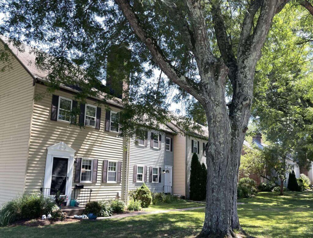 Glastonbury-corner-crop-scaled