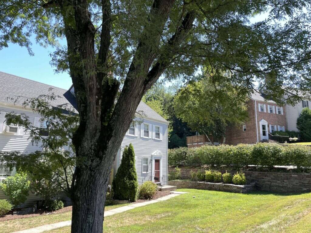 Glastonbury-gray-units-scaled